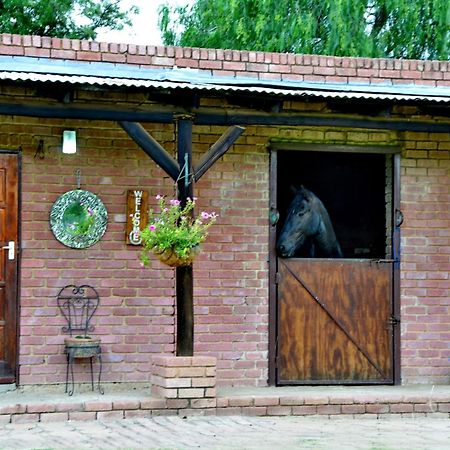 מידרנד Owls Loft Guest House מראה חיצוני תמונה