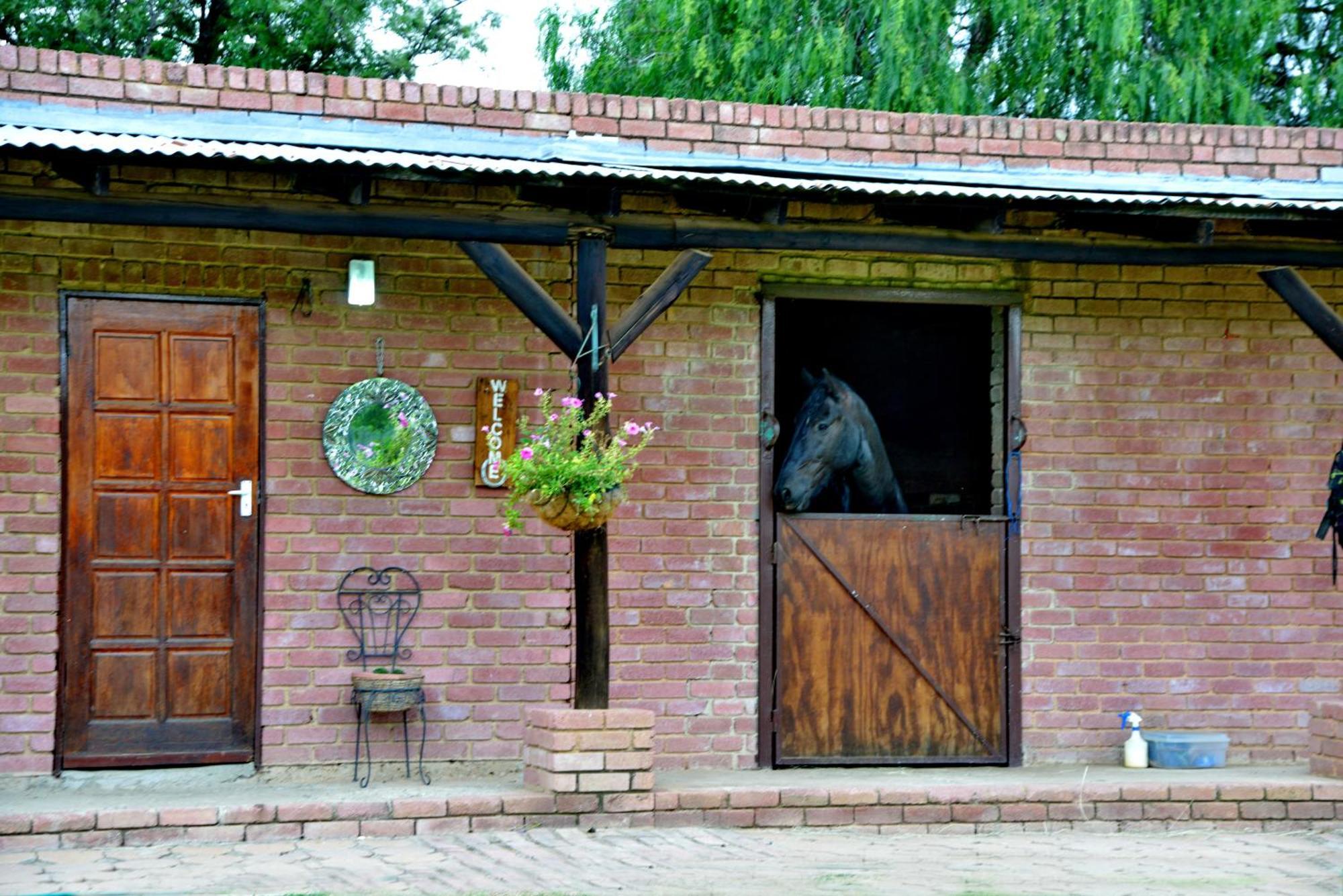מידרנד Owls Loft Guest House מראה חיצוני תמונה