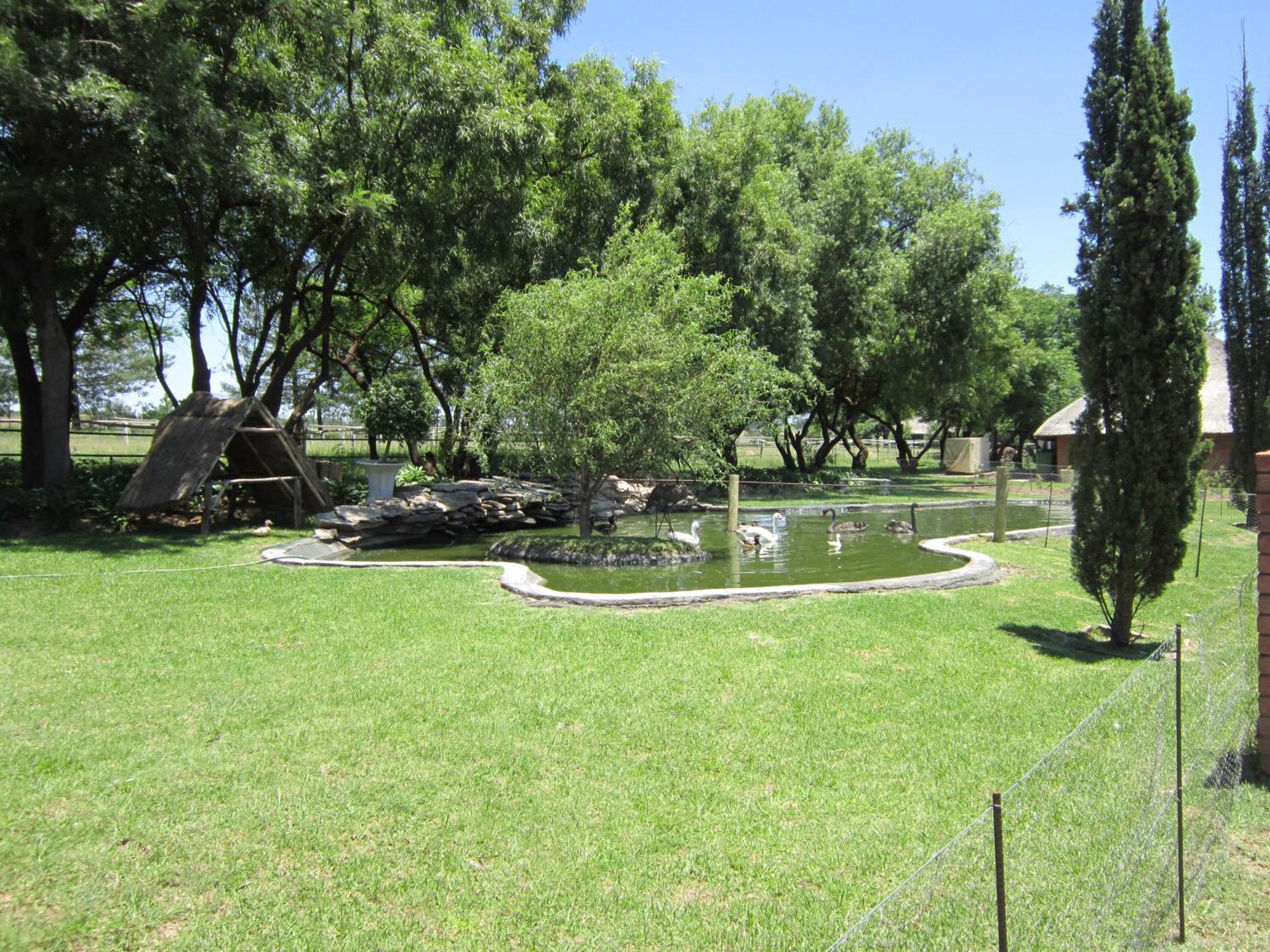 מידרנד Owls Loft Guest House מראה חיצוני תמונה